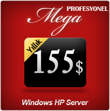 ProfesyonelMegaWindows Web Hosting Paketi
