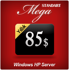 StandartMegaWindows Web Hosting Paketi